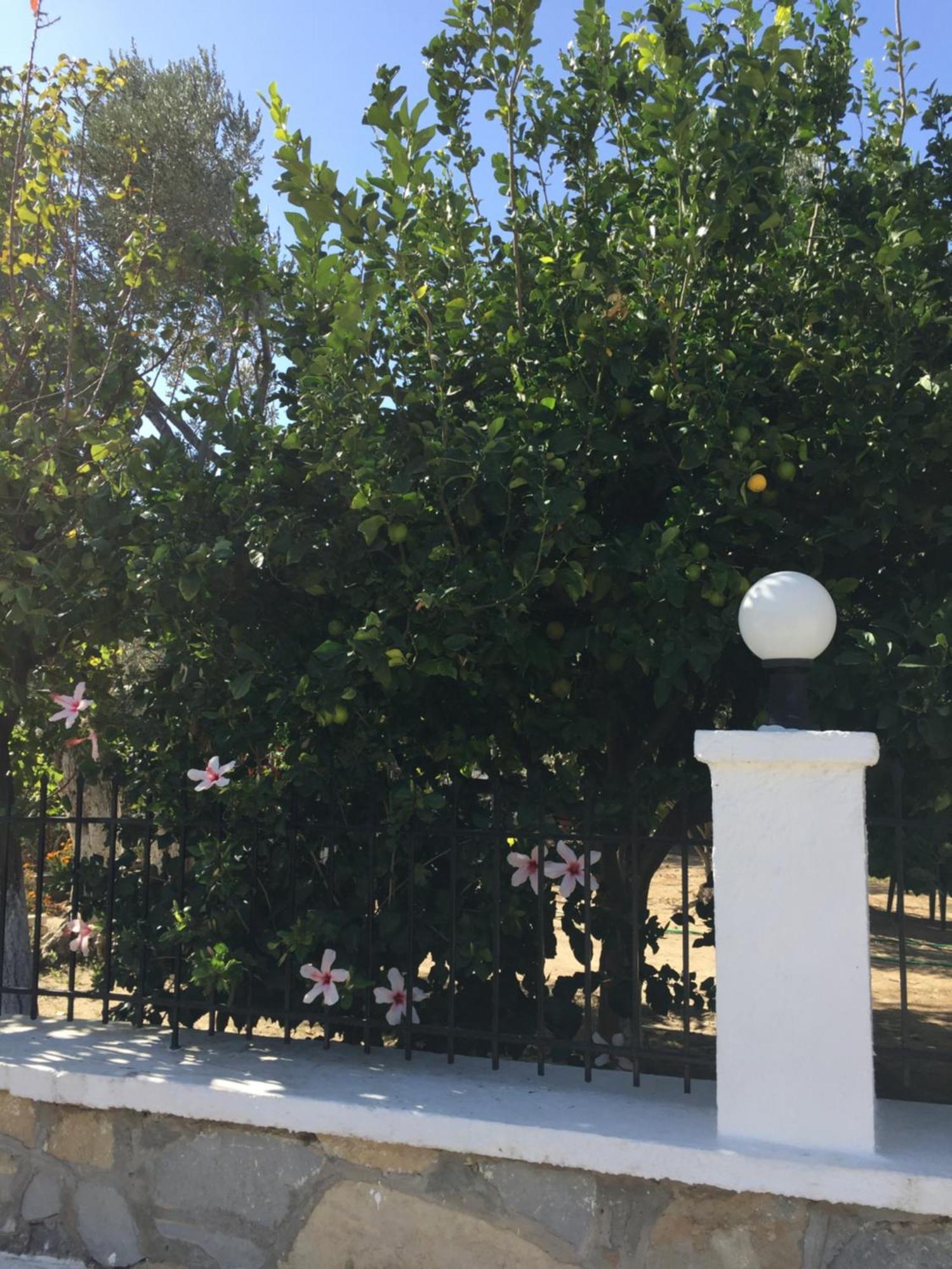 Livanina Apartments Kampos Marathokampou 외부 사진